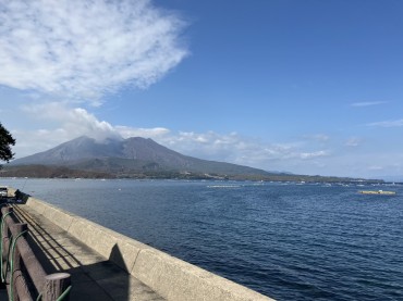 新着情報