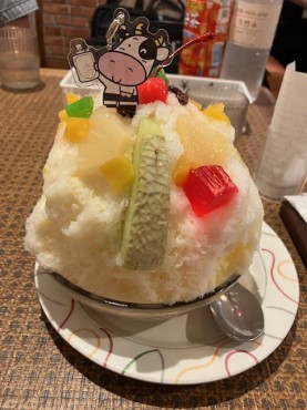 新着情報
