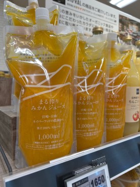 新着情報