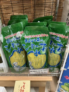 新着情報