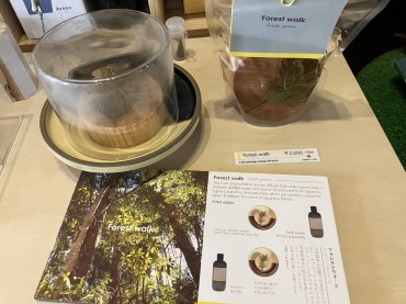 新着情報