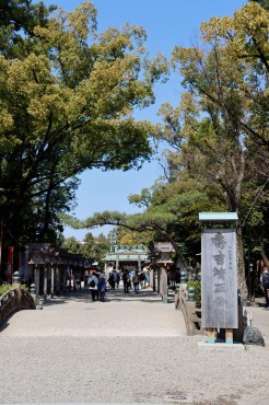 新着情報